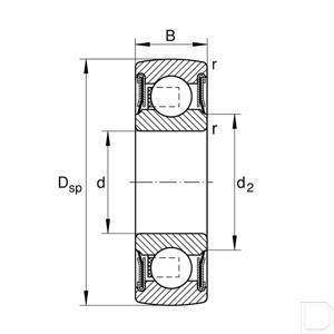0008081210000_13069_td.jpg