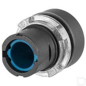 020plibl_13432_2.jpg