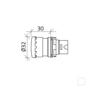 020ptar_13432_td.jpg