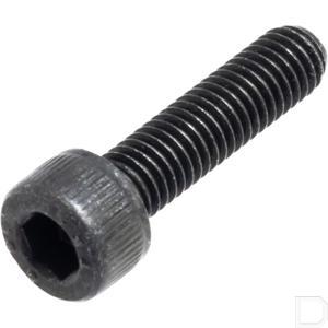 120cb0520.jpg