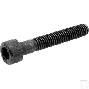 120cb0530.jpg