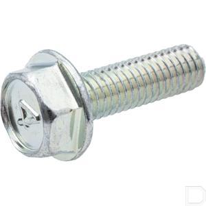 130aa0620.jpg