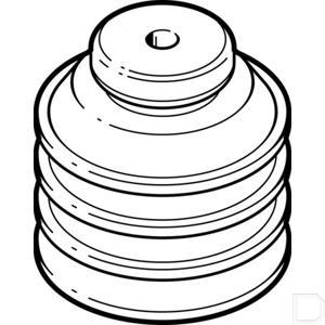136654fe.jpg