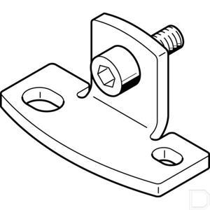 136886fe.jpg