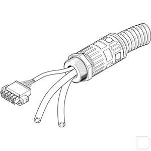 137079fe.jpg