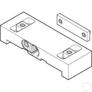 137085fe.jpg