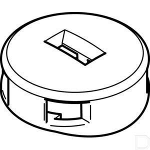 137727fe.jpg