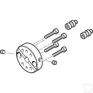 137954fe.jpg