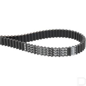 1600ds8m20kr.jpg