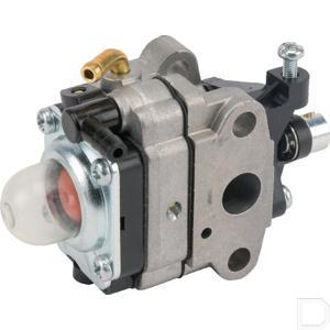 16100zm5v24.jpg