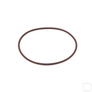 17292081fpt.jpg