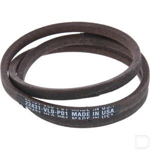22431vl0p01_2.jpg