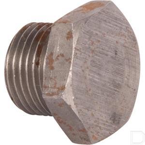 2487004n.jpg