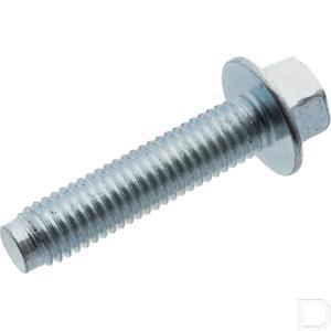 25086421s_2.jpg