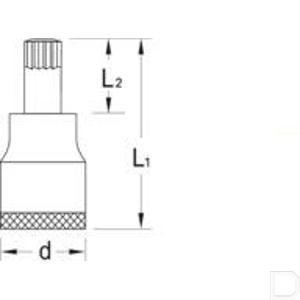 2950944_1_20289_td.jpg