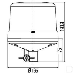 2rl_011_484-011_20269_9.jpg