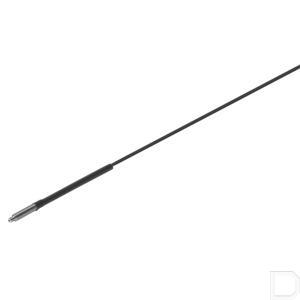 34153fe.jpg