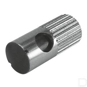 34187fe.jpg