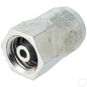 37006105.jpg