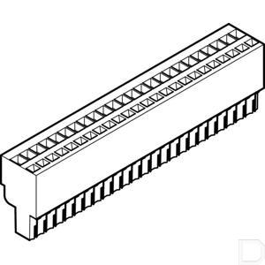 39053fe.jpg