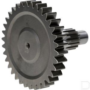 43580505500000_a.jpg