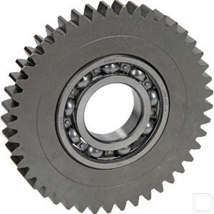4358505501.jpg