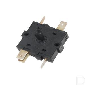 4615204.jpg