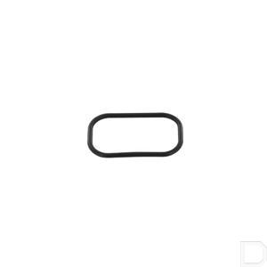 4847092fpt.jpg