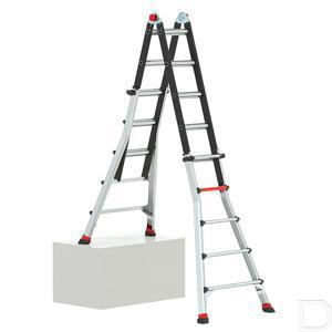 503735.jpg