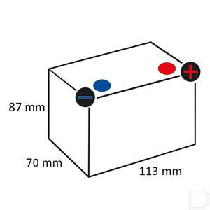 503909005i302ps_td.jpg