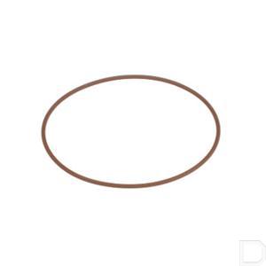 504108486fpt.jpg