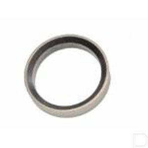 504162949fpt.jpg
