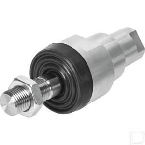 53035fe.jpg