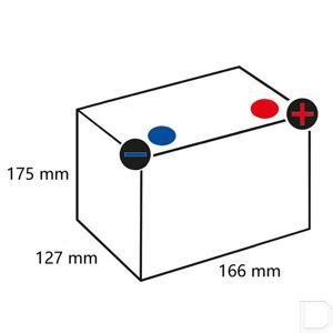530905045i314ps_td.jpg