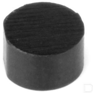 53640950.jpg