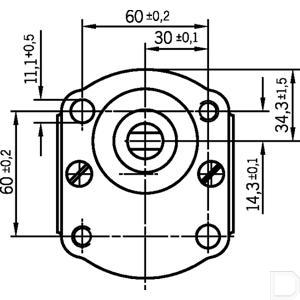 53_gear_pump_bosch_2_td.jpg