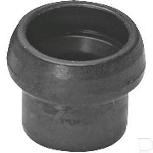 55807fe.jpg