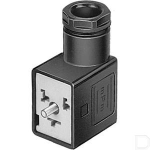 55908fe.jpg