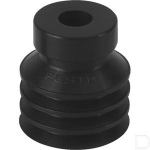 60633fe.jpg