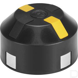 61317fe.jpg