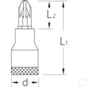 6156680_1_20289_td.jpg