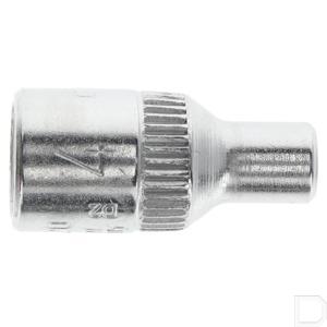 6165400_5_20289.jpg