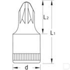 6187560_1_20289_td.jpg