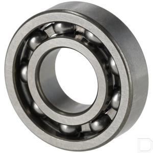 61900skf_2.jpg