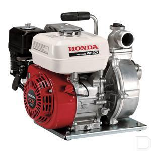 642266wh20ex.jpg