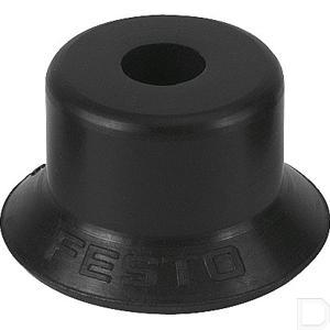 65516fe.jpg