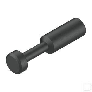 68165fe.jpg