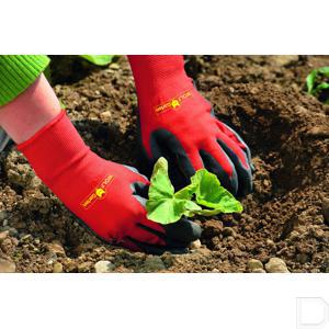 7760016_14.jpg