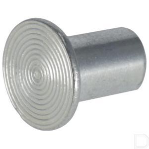 790155p006.jpg