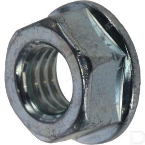 80016y09003.jpg